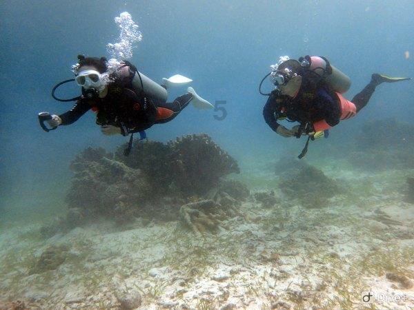 重庆坠亡姐弟生父张波下手两次才得逞，两凶手谋划半年，孩子外婆：第一次说带孩子买衣服就觉得奇怪